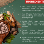 BRONCHIAL SUPPORT FORMULA CAPSULES - 60 CAPSULES (BUY ONE GET SAME 50ML DROPS FREE)