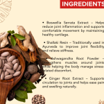 JOINT HEALTH POWDER - 200 GM (BUY ONE GET SAME 50ML DROPS FREE)