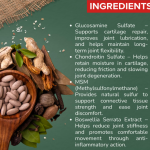 JOINT CARE DROPS - 50 ML (BUY ONE GET SAME 50ML DROPS FREE)