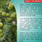 Bilberry Capsule - 60 Capsules (Get One Bottle 50ml Bilberry Drops Free)