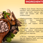 Bilberry Capsule - 60 Capsules (Get One Bottle 50ml Bilberry Drops Free)