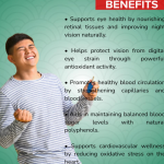 Bilberry Capsule - 60 Capsules (Get One Bottle 50ml Bilberry Drops Free)