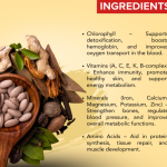 Wheat Grass Capsule - 60 Capsules (Get One Bottle 50ml Wheat Grass Drops Free)