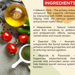 Valerian Root Extract Capsule - 60 Capsules (Get One Bottle 50ml Valerian Root Extract Drops Free)