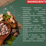 Red Yeast Rice Extract Capsule - 60 Capsules (Get One Bottle 50ml Red Yeast Rice Extract Drops Free)