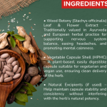 WOOD BETONY CAPSULES - 60 CAPSULES (BUY ONE GET SAME 50ML DROPS FREE)