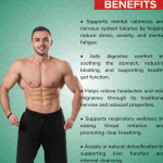 WOOD BETONY CAPSULES - 60 CAPSULES (BUY ONE GET SAME 50ML DROPS FREE)