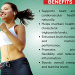 Arjun Chal Capsule - 60 Capsules (Get One Bottle 50ml Arjun Chal Drops Free)