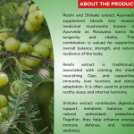 Reishi, Shiitake Extract Capsule - 60 Capsules (Get One Bottle 50ml Reishi, Shiitake Extract Drops Free)