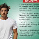 Reishi, Shiitake Extract Capsule - 60 Capsules (Get One Bottle 50ml Reishi, Shiitake Extract Drops Free)