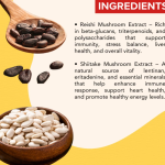 Reishi, Shiitake Extract Capsule - 60 Capsules (Get One Bottle 50ml Reishi, Shiitake Extract Drops Free)