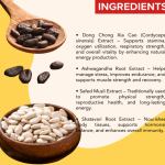 KASLY DONG CHONG XIA CAO CAPSULES - 60 CAPSULES (BUY ONE GET SAME 50ML DROPS FREE)