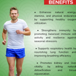 KASLY DONG CHONG XIA CAO CAPSULES - 60 CAPSULES (BUY ONE GET SAME 50ML DROPS FREE)