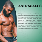 Astragalus Capsule - 60 Capsules (Get One Bottle 50ml Astragalus Drops Free)