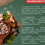 Astragalus Capsule - 60 Capsules (Get One Bottle 50ml Astragalus Drops Free)