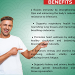 Astragalus Capsule - 60 Capsules (Get One Bottle 50ml Astragalus Drops Free)