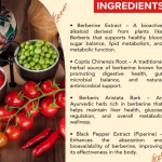 BERBERINE CAPSULES - 60 CAPSULES (BUY ONE GET SAME 50ML DROPS FREE)