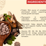 Spirulina Capsule - 60 Capsules (Get One Bottle 50ml Spirulina Drops Free)