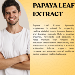 Papaya Leaf Extract Capsule - 60 Capsules (Get One Bottle 50ml Papaya Leaf Extract Drops Free)
