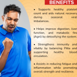 Papaya Leaf Extract Capsule - 60 Capsules (Get One Bottle 50ml Papaya Leaf Extract Drops Free)