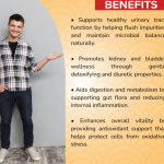 CRANBERRY & BUCHU CONC. SOFTGEL - 60 SOFTGELS (BUY ONE GET SAME 50ML DROPS FREE)