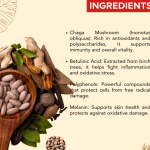 SIBERIAN CHAGA CAPSULES - 60 CAPSULES (BUY ONE GET SAME 50ML DROPS FREE)