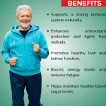 SIBERIAN CHAGA CAPSULES - 60 CAPSULES (BUY ONE GET SAME 50ML DROPS FREE)