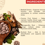 LOMEDUS DROPS - 50 ML (BUY ONE GET SAME 50ML DROPS FREE)