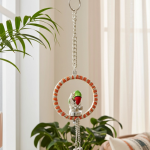 Aluminium Showpiece Parrot Ring Small Statue