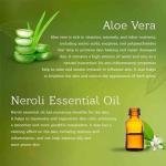 Aloe Vera Soap | Handmade Organic Cold-Processed Aloe Vera Soap - 100 Gm