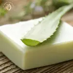 Aloe Vera Soap | Handmade Organic Cold-Processed Aloe Vera Soap - 100 Gm