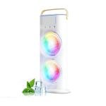 Double Ended Spray Cooler 2025 New 3 Gears Usb Rechargeable Quiet Fan