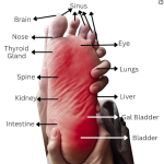 Acupressure Mat for Feet | Magnetic Pyramidal Foot Power Mat | Manual Foot Massager | PAIN RELIEF, COMPLETE BLOOD CIRCULATION Mat (Stand for 1 min - 4 times a day) (Acupressure Mat Pack of 2)