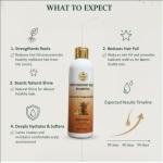 Fresh Radiant Roots Shampoo