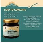 Si Pure Himalayan Shilajit