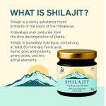 Si Pure Himalayan Shilajit