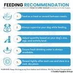 Chip Chops Chicken & Codfish Sandwich Dog Treats - 70g (Pack of 1) Healthy, Tasty, High-Protein Snacks for Training & Rewards | Suitable for All Breeds