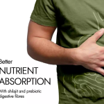 Kapiva Shilajit Energy Gummies