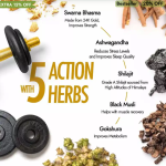 Kapiva Shilajit Gold Capsules - 60 Caps