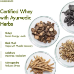 Kapiva Testofuel Shilajit Whey Protein ( Chocolate And Cookies Flavour)