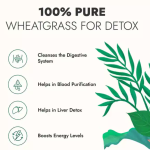 Kapiva Wheat Grass Juice !L