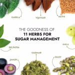 Kapiva Dia Free Juice 1L- Blood Sugar Management