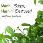 Kapiva Madhunashini 30 capsuls