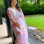 Organza saree