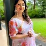 Organza saree