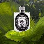 Tom Deo Perfume: Long-Lasting Fresh Fragrance with Bold Notes for Everyday Confidence and Style Wear
