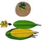 Artificial Metal Banana Tree – 12 Inch Pair for Pooja & Golu Dolls Decoration
