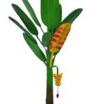 🌴 Artificial Banana Tree (2 ft) – Clay Handicraft Home Décor