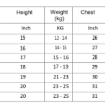 The Shade Boy's Casual Regular Fit Cotton Shirt