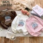 Premium Korean Style Sweatshirt